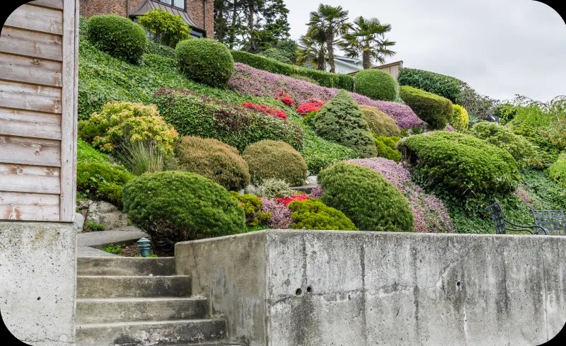 Jakie rośliny na skarpę przy tarasie? Sprawdź najlepsze opcje i uniknij błędów!