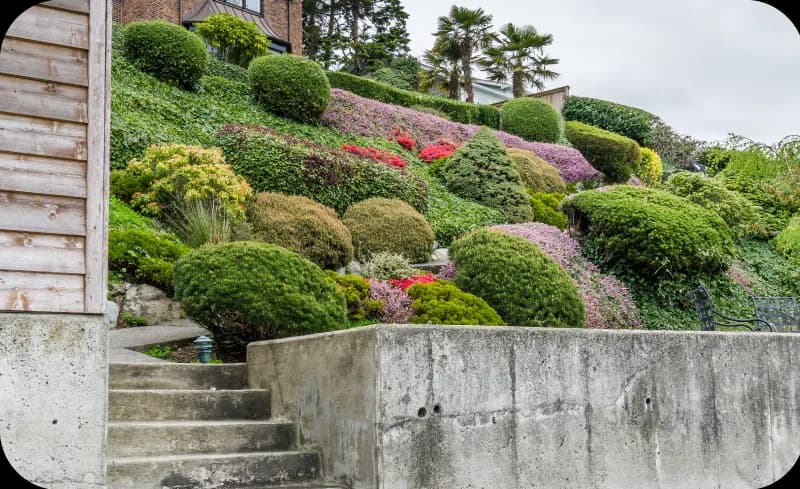 Jakie rośliny na skarpę przy tarasie? Sprawdź najlepsze opcje i uniknij błędów!